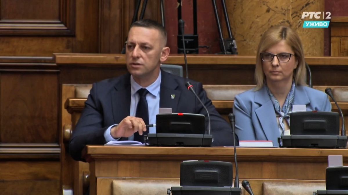 VLADA UMESTO DA BRINE O USTAVU NEMA NI ELEMENTARNO ZNANJE O ISTOM